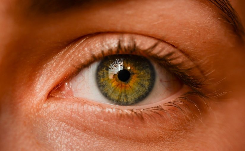 Oczy to wyrafinowany organ. To naturalnie dzięki nim widzimy.